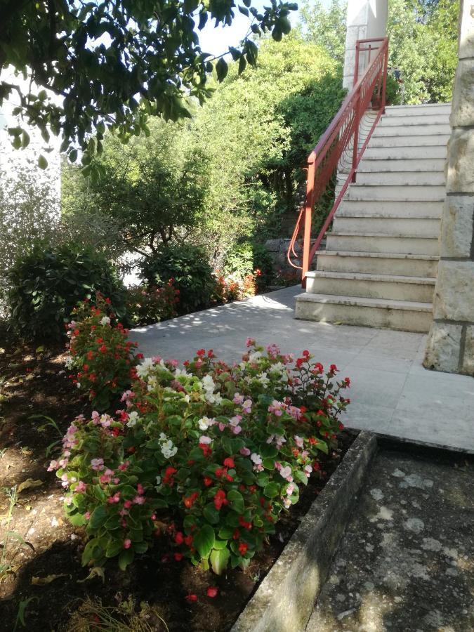 Apartment Petrovic Korčula Exteriör bild